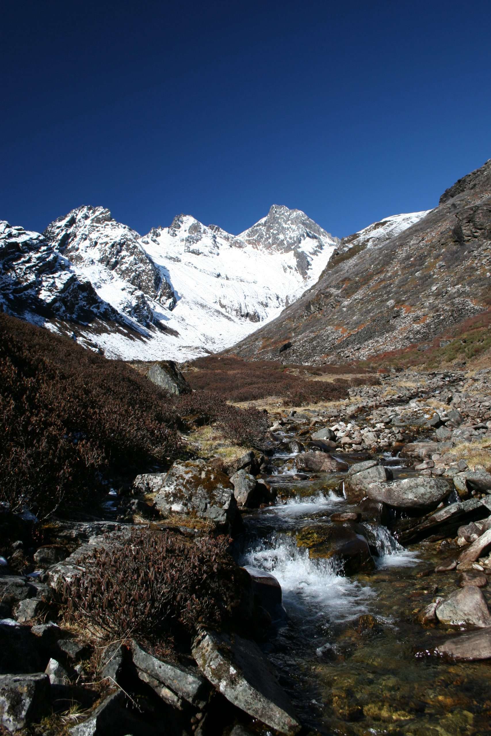 Mendo sherma and Ama Bamarie Kharka stream. Lapchi Kang, Nepal